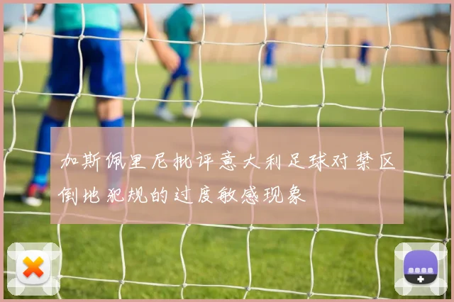 加斯佩里尼批评意大利足球对禁区倒地犯规的过度敏感现象