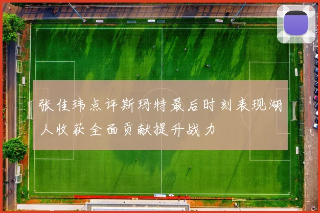 张佳玮点评斯玛特最后时刻表现湖人收获全面贡献提升战力