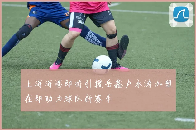 上海海港即将引援岳鑫卢永涛加盟在即助力球队新赛季