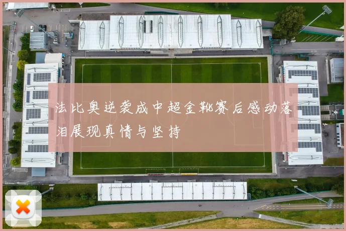 法比奥逆袭成中超金靴赛后感动落泪展现真情与坚持