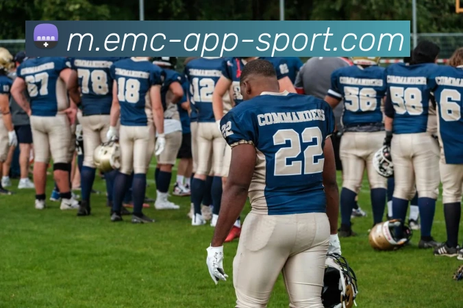 易倍体育平台生态图